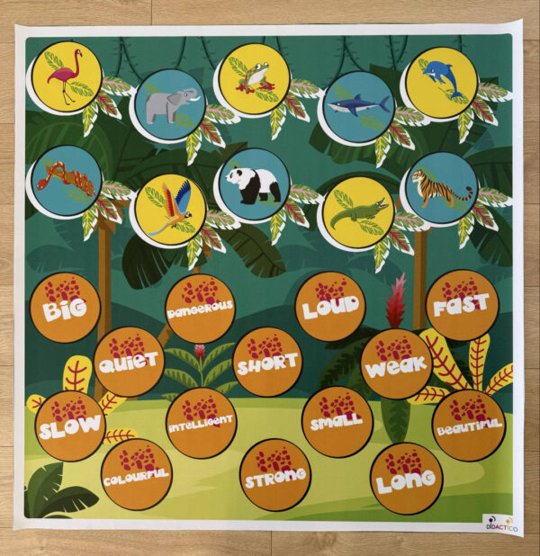 Mata edukacyjna PRZYMIOTNIKI – ADJECTIVES